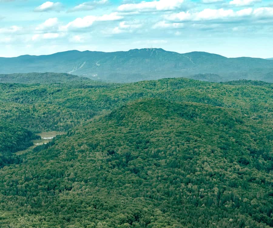 Ottawa Helicopter Tour: Fall Colors in Gatineau Park - Price and value, especially when you book for up to two