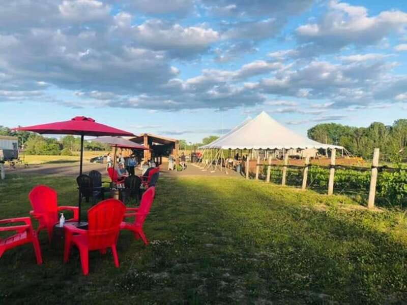Ottawa: Local Wine and Cider Tour - Who this Ottawa Valley wine and cider tour is for