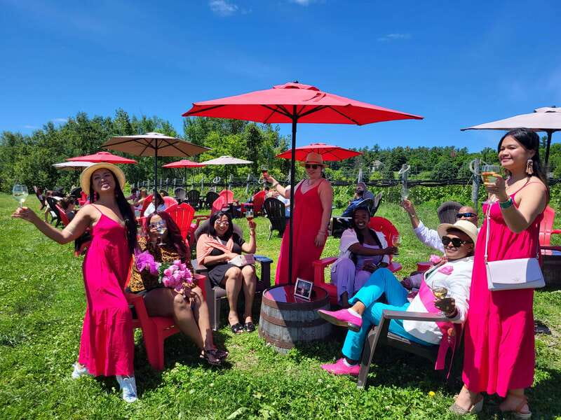 Ottawa: Local Wine and Cider Tour - Buyers + Cellars Tasting Room: start with charcuterie and an eclectic lineup