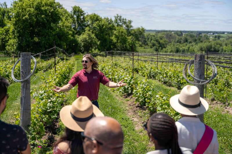 Ottawa: Local Wine and Cider Tour - KIN Vineyards: sustainability, biodynamics, and flatbread pairings