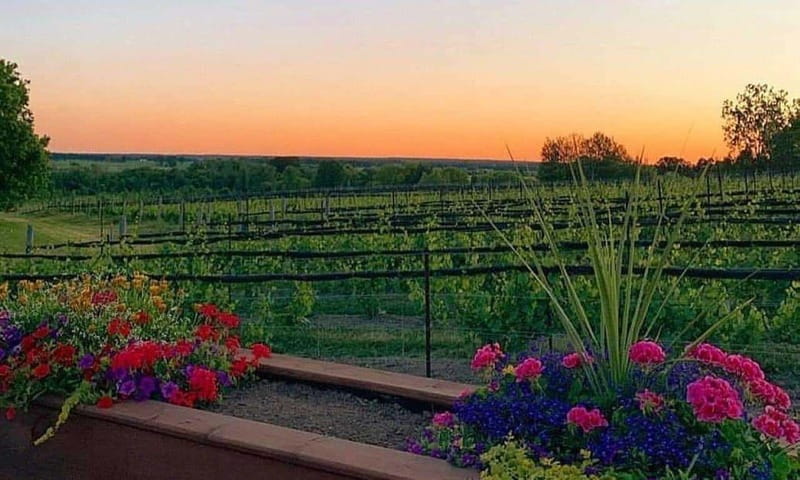 Ottawa: Local Wine and Cider Tour - Price and value: what $130 actually buys