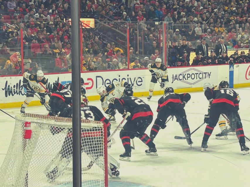 Ottawa: Ottawa Senators Ice Hockey Game Ticket - Your Mobile Ticket and Seat: What You Actually Get