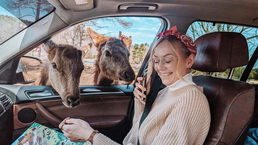 Ottawa: Private Parc Omega Wildlife Safari – Winter Magic - Price and value: is $183 per person a fair deal?