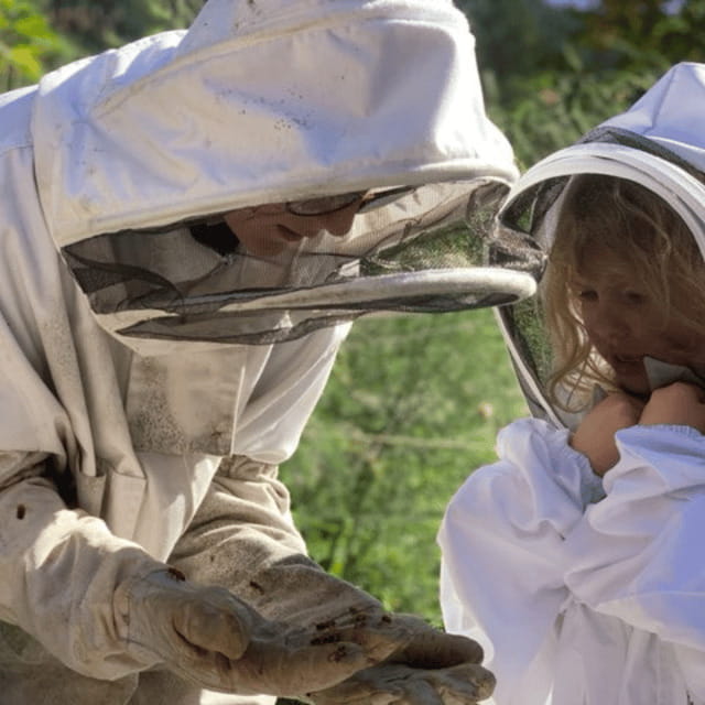 Paradise Valley: Bee Adventure Tour! - Paradise Valley Bee Adventure Tour: The Quick Pitch