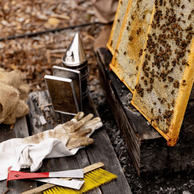 Paradise Valley: Bee Adventure Tour! - Getting There and Meeting at Bee Wild Paradise Valley