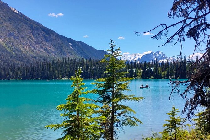 Peyto Lake, Bow Lake Lake Louise Moraine Lake Half Day Tour - Why this half-day Icefields Parkway route makes sense