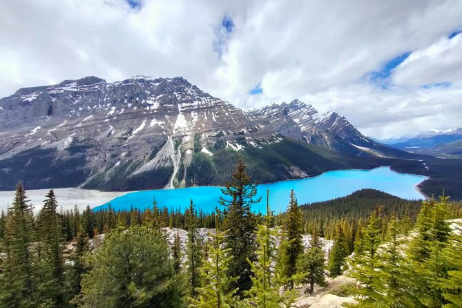 Peyto Lake, Bow Lake Lake Louise Moraine Lake Half Day Tour - The mountain scenery stops: Cascade and Castle for instant context