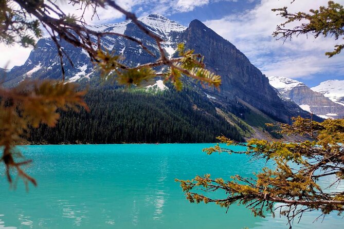 Peyto Lake, Bow Lake Lake Louise Moraine Lake Half Day Tour - When Moraine is closed: Peyto, Bow Lake, and Crowfoot Glacier in winter logic