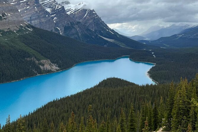 Peyto Lake, Bow Lake Lake Louise Moraine Lake Half Day Tour - Guides, timing, and the small kindnesses that make the day smoother