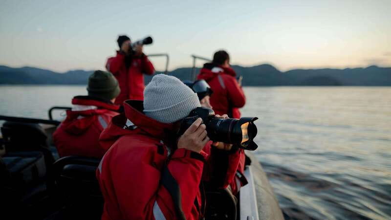 Port Hardy: Sea Otter and Whale Watching - Lunch, Hot Drinks, and Why the $276 Price Can Make Sense