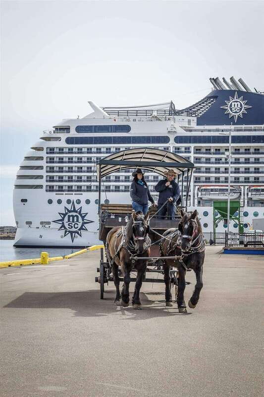 Prince Edward Island: Horse-Drawn Carriage Tour - Quick Takeaways