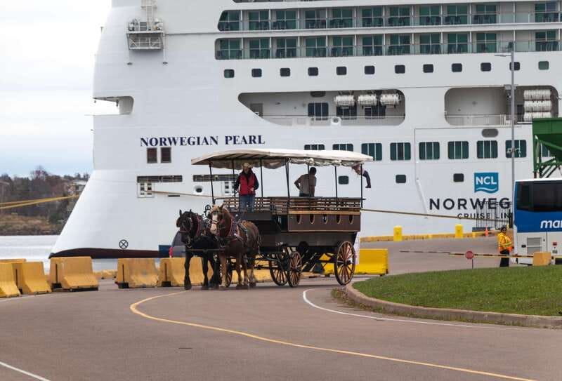 Prince Edward Island: Horse-Drawn Carriage Tour - Province House and the Historic Downtown Loop