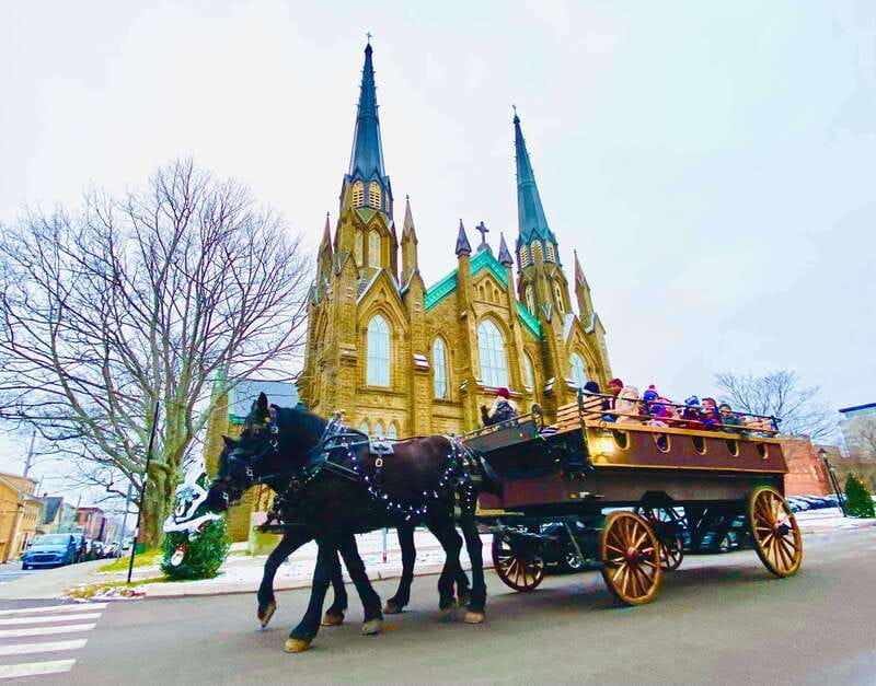 Prince Edward Island: Horse-Drawn Carriage Tour - Your Local Guide Brings It From Facts to Stories