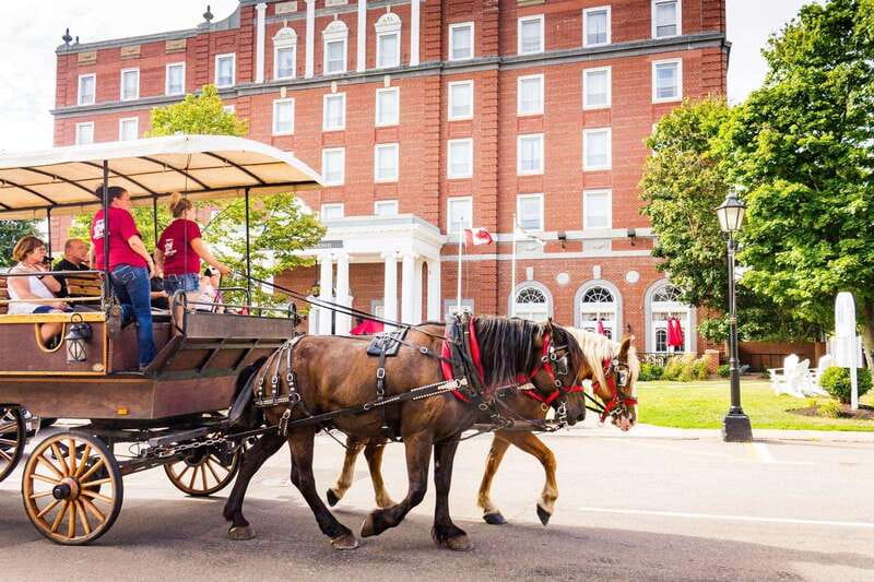Prince Edward Island: Horse-Drawn Carriage Tour - The Carriage Ride Itself: What 40 Minutes Really Means