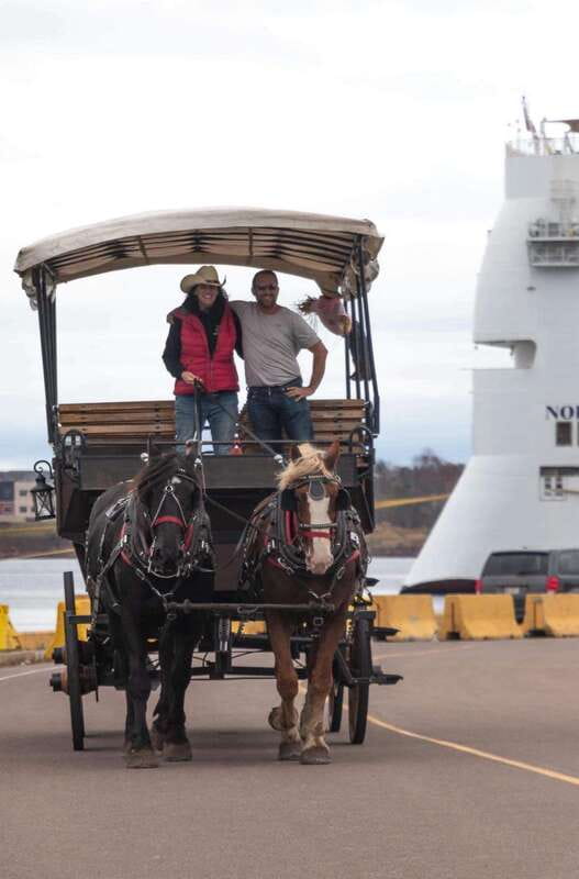 Prince Edward Island: Horse-Drawn Carriage Tour - Photo Moments You Will Actually Use Later
