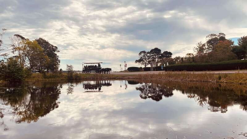 Prince Edward Island: Horse-Drawn Carriage Tour - $23 Per Person: Is It Good Value?