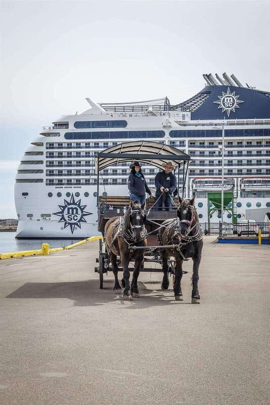 Prince Edward Island: Horse-Drawn Carriage Tour - A Few Considerations Before You Go