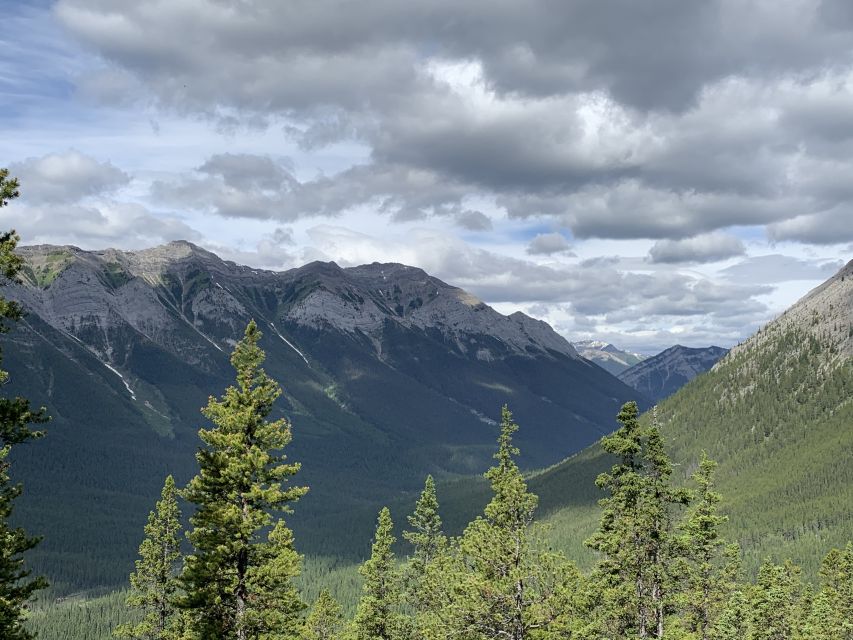 PRIVATE: Bear Country Hiking Tour - 4H Adventure - What’s included, and where you actually save money and hassle