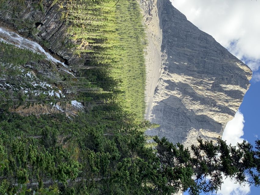 PRIVATE: Bear Country Hiking Tour - 4H Adventure - What to bring: snacks, water, lunch, and the right shoes
