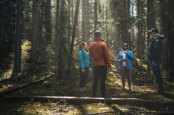 Private Forest Bathing Experience Connect with Nature - The tea ceremony with locally foraged ingredients