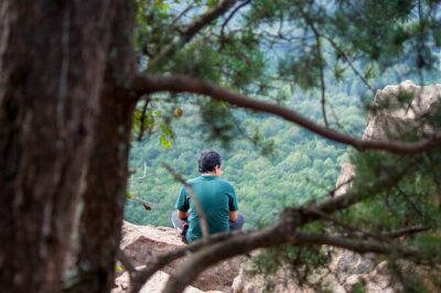 Private Forest Bathing Experience Connect with Nature