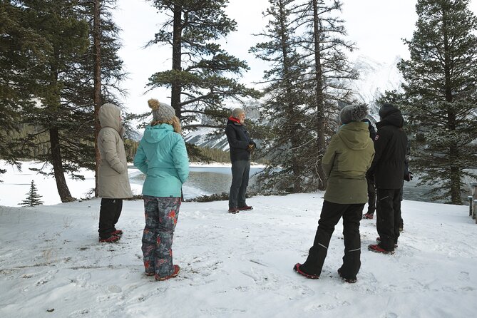 Private Forest Bathing Experience Connect with Nature - Value check: is $261.40 per person worth it in Banff?