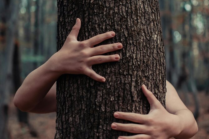 Private Forest Bathing Experience Connect with Nature - Should you book Original Path forest bathing in Banff?