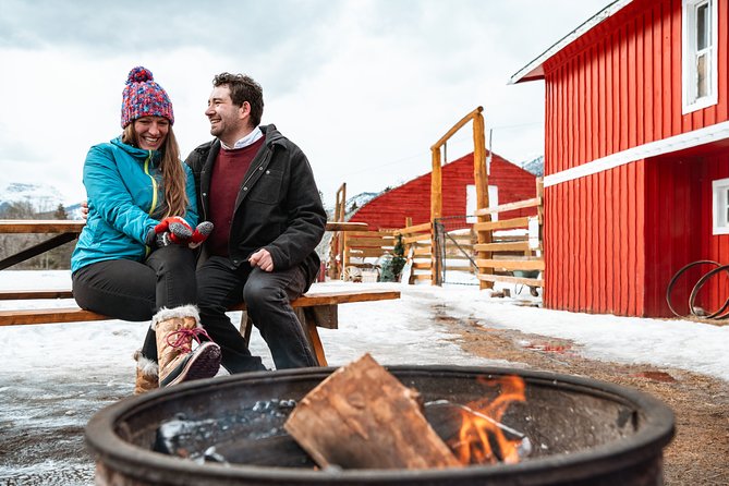 Private Horse-Drawn Sleigh Ride In Banff - Who This Private Sleigh Ride Suits Best (And Who Should Skip It)