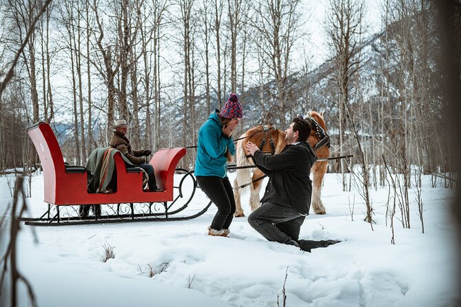 Private Horse-Drawn Sleigh Ride In Banff - Weather, Cancellations, and a Small Reality Check