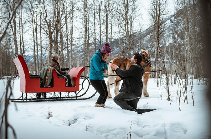 Private Horse-Drawn Sleigh Ride In Banff - Value in Practice: Is $233.83 Worth It for Two?