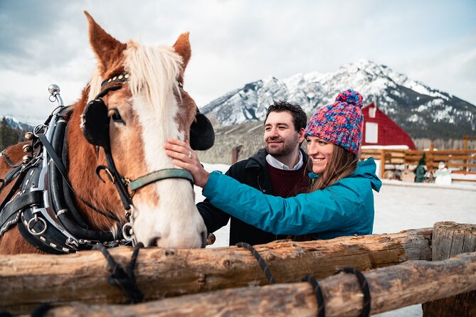 Private Horse-Drawn Sleigh Ride In Banff - Meeting at Banff Stables and Getting Ready (Open-Top Means Warmth)
