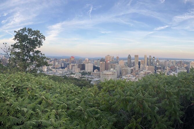 Private Montreal City Tour by Car, History & Hidden Gems - A Private Tesla Ride That Turns Montreal Into a One-Day Story