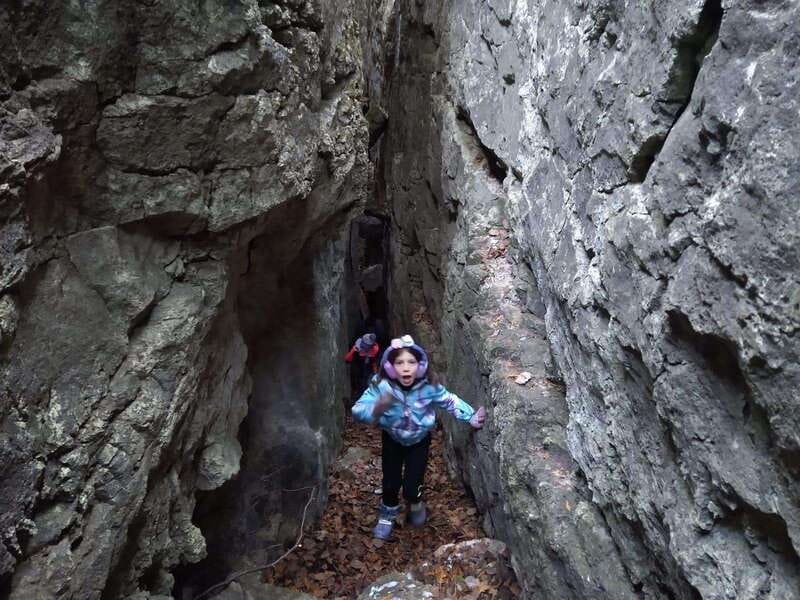 Private Nottawasaga Bluffs Caves Hike - Creemore/Collingwood - The Trail Start With Apple Trees, Then Mossy Escarpment Forest