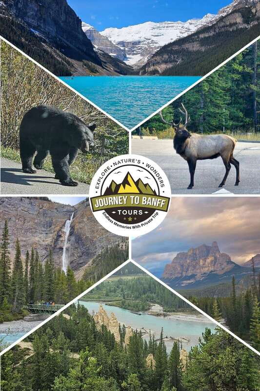 Private Tour Banff/Emerald Yoho Customized Sightseeing - Private, door-to-door Banff and Yoho with real control of your day