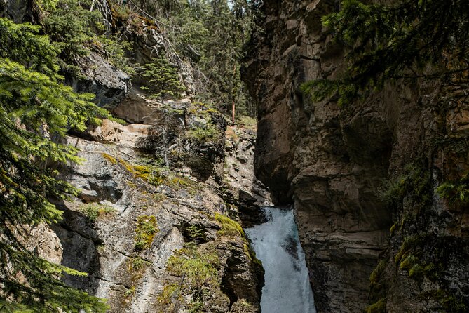 Private VIP Tour in Lake Louise, Moraine and Hidden Gems - Price and value: what $746.11 per group really buys you