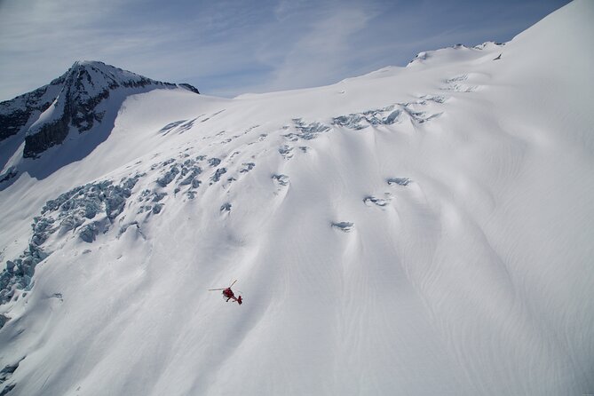 Private Whistler Helicopter Tour + Mountain Landing - Timing, packing, and photo tips for a 24 to 45 minute flight