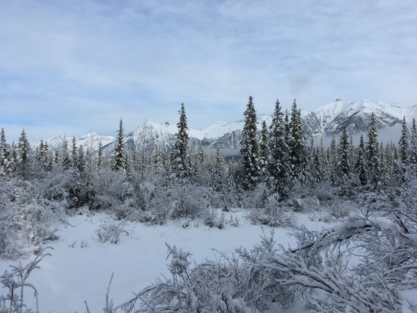 PRIVATE Wilderness and Wildlife Walking Tour - 3hrs - Should you book this private wilderness and wildlife walking tour?