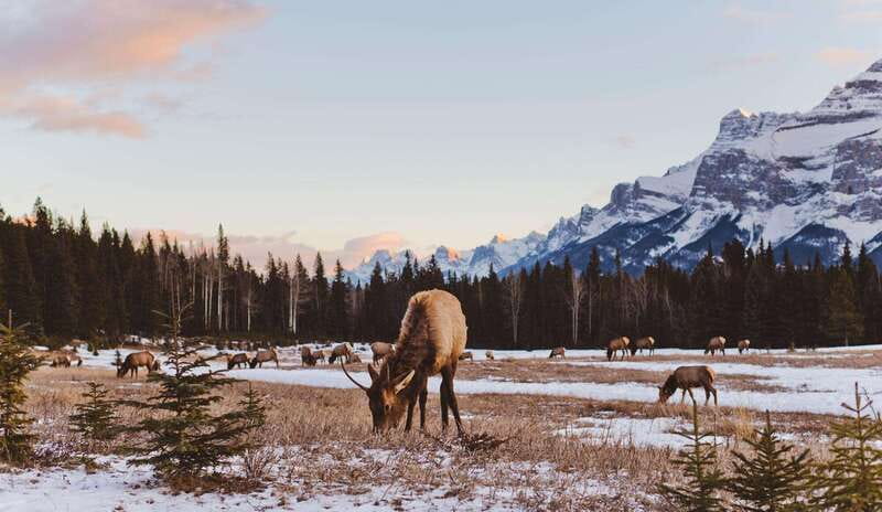 PRIVATE Wilderness and Wildlife Walking Tour - 3hrs - The 150-minute wilderness walk: what you do and what you learn