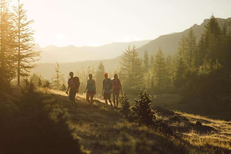 PRIVATE Wilderness and Wildlife Walking Tour - 3hrs - Safety on a bear country walk: what is included and how it changes peace of mind