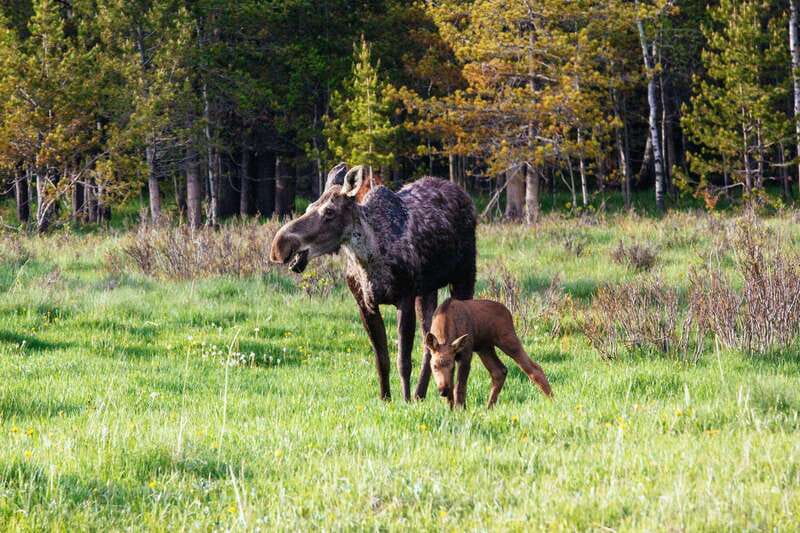 PRIVATE Wilderness and Wildlife Walking Tour - 3hrs - Who should book this tour, and who should skip it