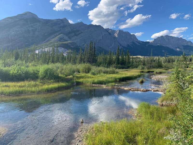 PRIVATE Wilderness and Wildlife Walking Tour - 3hrs - The drive into the Canadian Rockies: why remote access boosts sightings