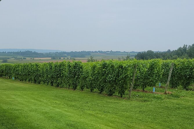 Private Wine Tours from Halifax - Who this Annapolis Valley wine tour is best for