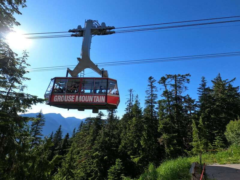 PrivateTour Capilano Br+Granville Islan+Hatchery+Lynn Canyon - Key Highlights You Will Actually Feel