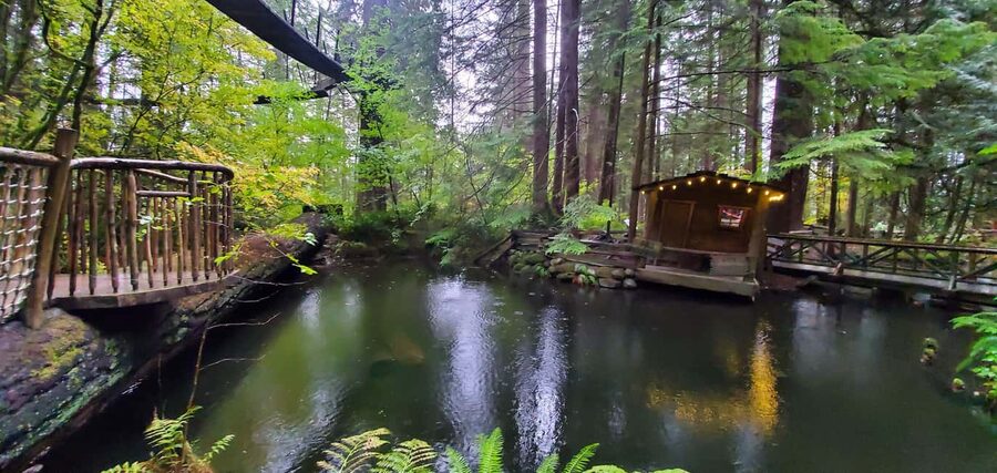 PrivateTour Capilano Br+Granville Islan+Hatchery+Lynn Canyon - The Guide Factor: What Leo’s Style Suggests for Your Day