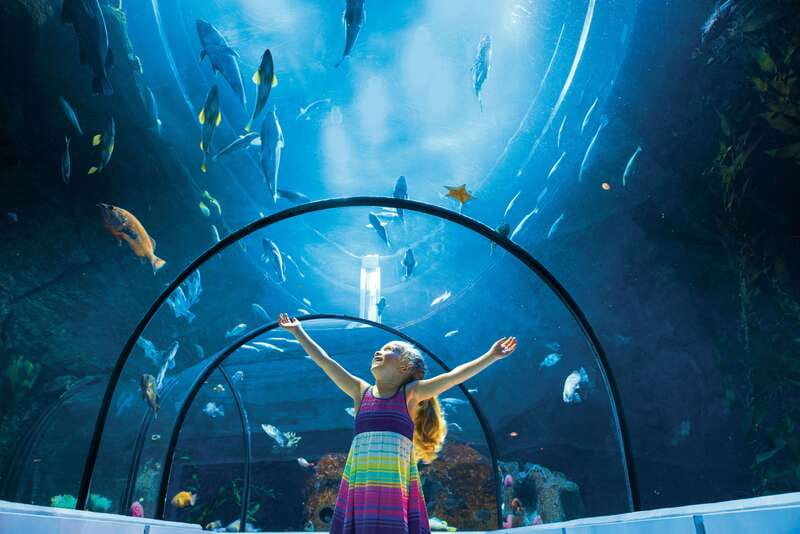Quebec: Aquarium du Quebec Entry Ticket - Aquarium du Québec: a Quebec City day that’s equal parts science and wow
