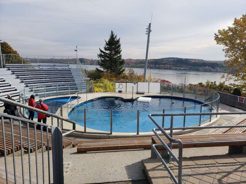Quebec: Aquarium du Quebec Entry Ticket - Timing your visit: how long it takes and when to arrive