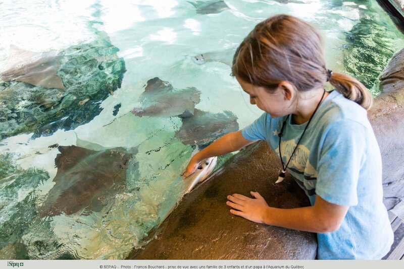 Quebec: Aquarium du Quebec Entry Ticket - Awesome Ocean: the 92,000-gallon tunnel you’ll keep thinking about