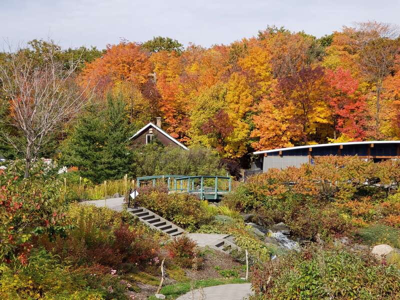 Quebec: Aquarium du Quebec Entry Ticket - Outdoor Arctic habitats: seals, polar bears, and underwater glass viewing