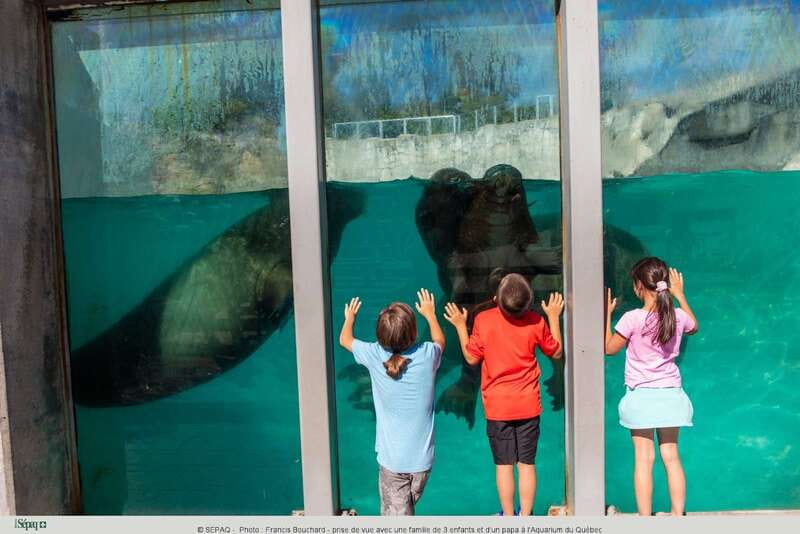 Quebec: Aquarium du Quebec Entry Ticket - Tickets for $19: what you really get (and why it feels like value)