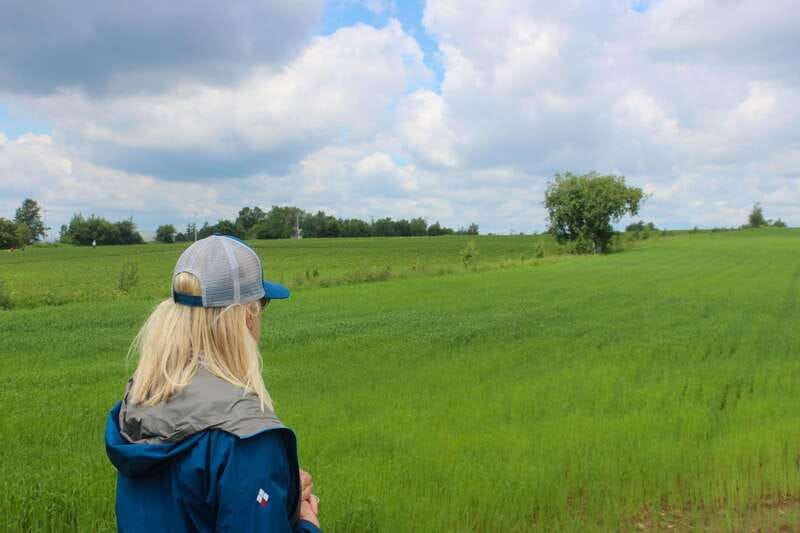Quebec City - Agricultural Walking Tour on Ile d'Orléans - Walking through the sugarbush: maple lessons you can taste